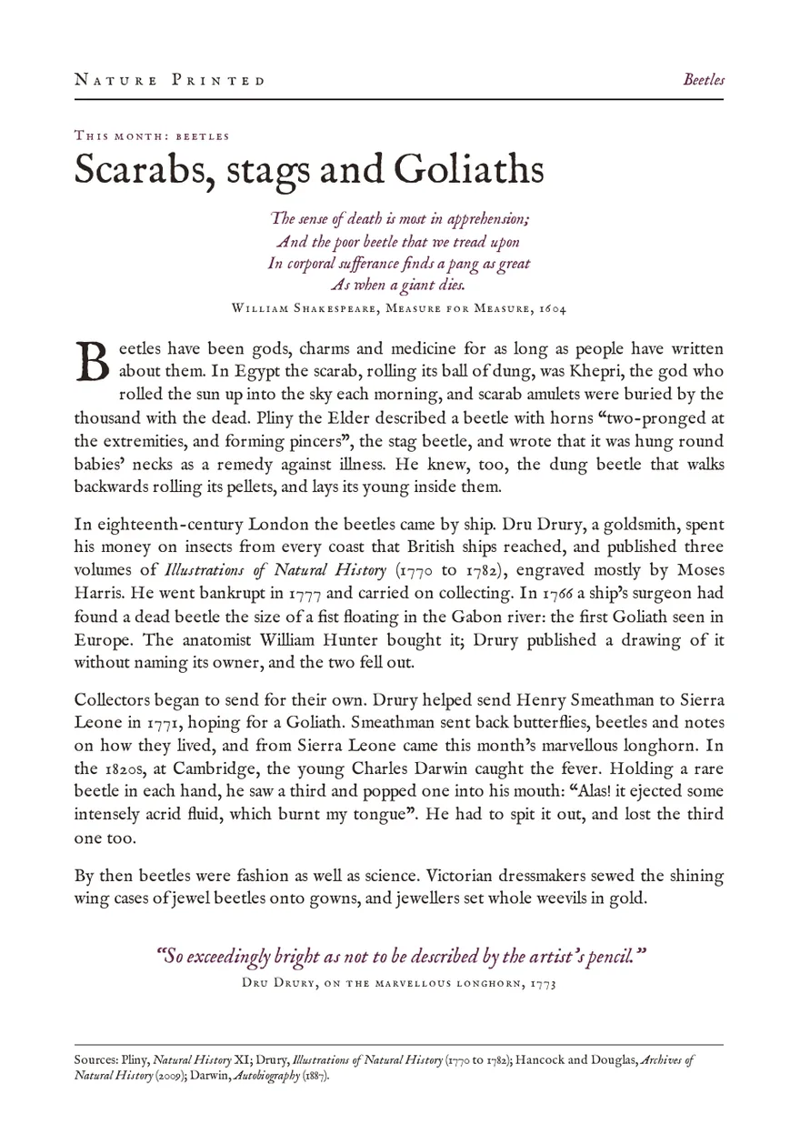 The beetles theme leaf, Scarabs, stags and Goliaths: a page on beetle lore headed by lines from Shakespeare.