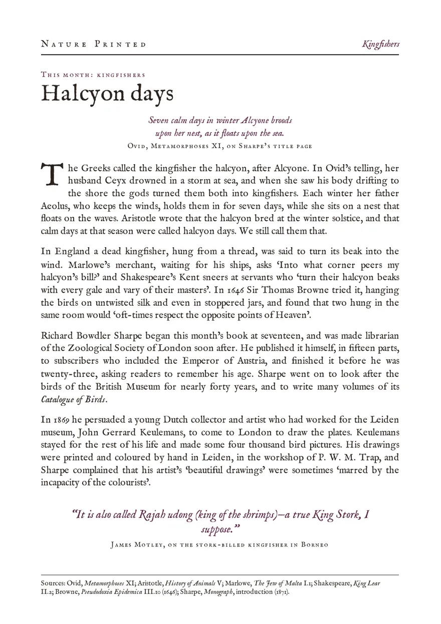 The kingfishers theme leaf, Halcyon days: a page on kingfisher myth headed by lines from Ovid.