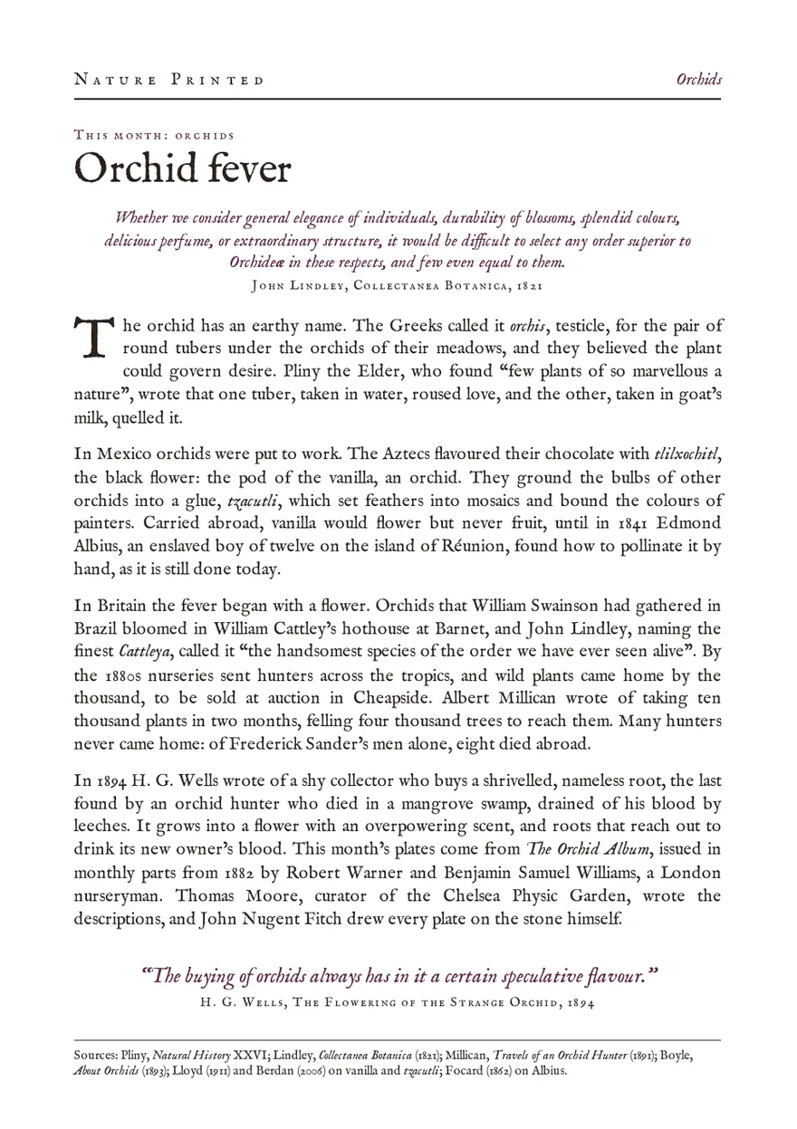 The orchids theme leaf, Orchid fever: a page on Victorian orchid hunting headed by lines from John Lindley.