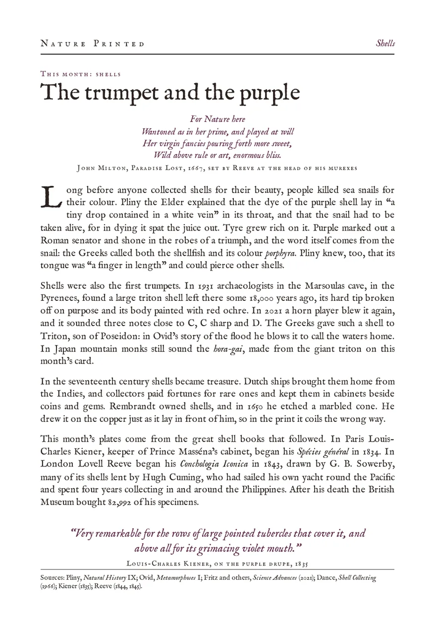 The shells theme leaf, The trumpet and the purple: a page on shells and the purple dye, headed by lines from Milton.